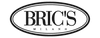 Brics Logo